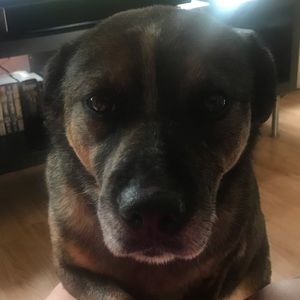 Meet your Posher, Alexandra